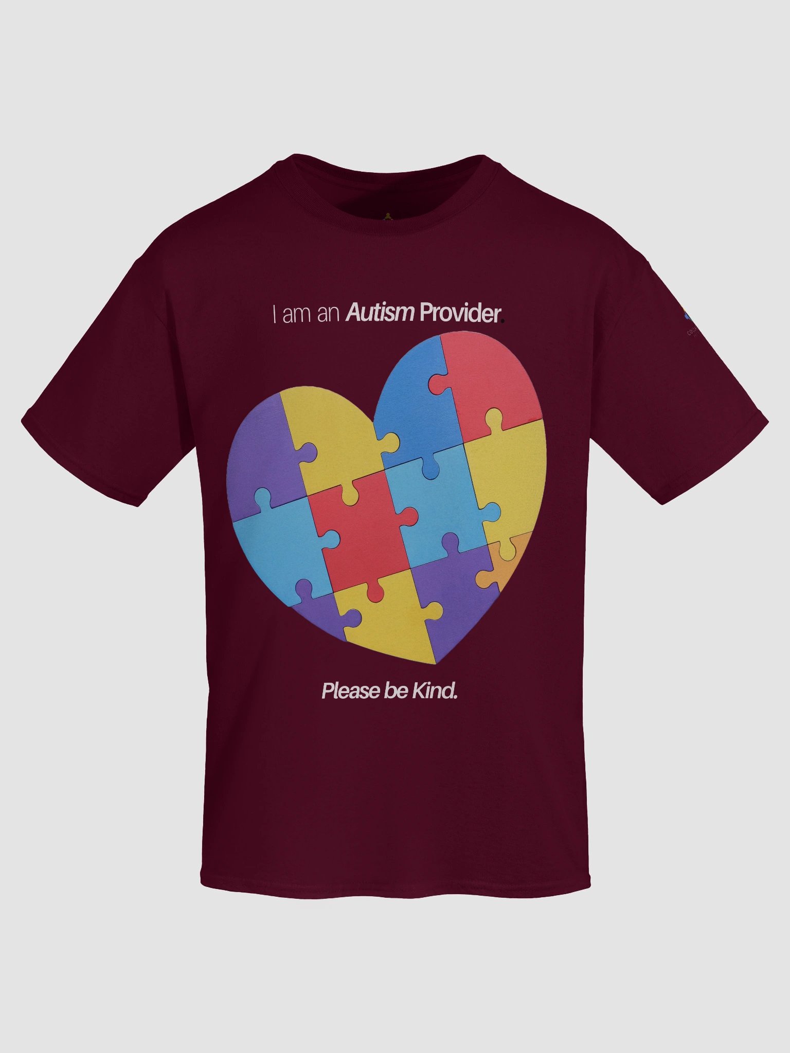 I am an Autism Provider Please Be Kind T-Shirt product image (7)