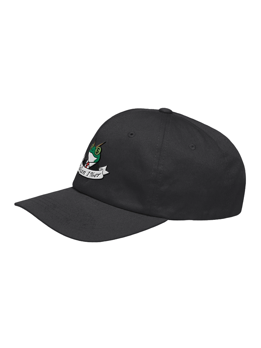 FROGMONEY2025 Palian 1%er Embroidered Hat product image (4)