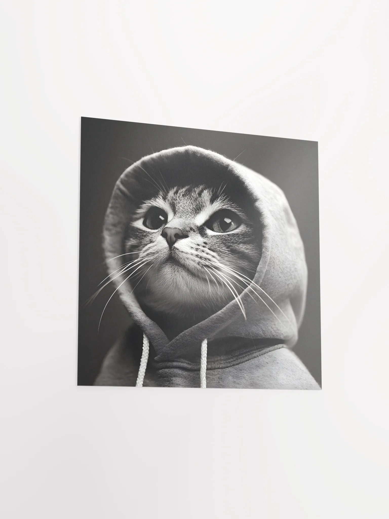 Hacker Cat product image (14)