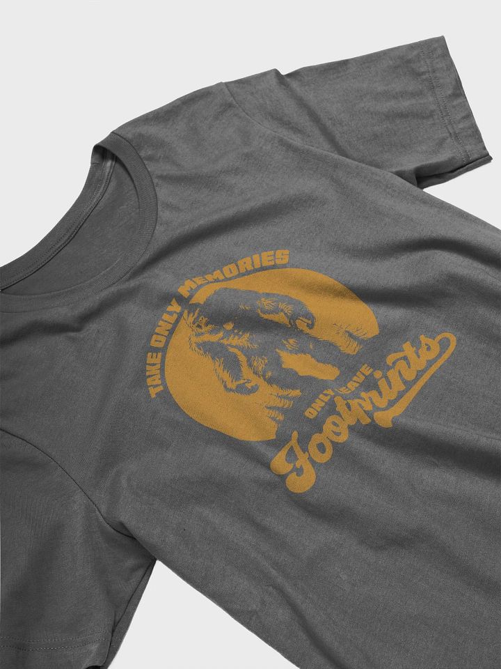 Take Memories Leave Footprints Funny Hiking T-shirt product image (2)