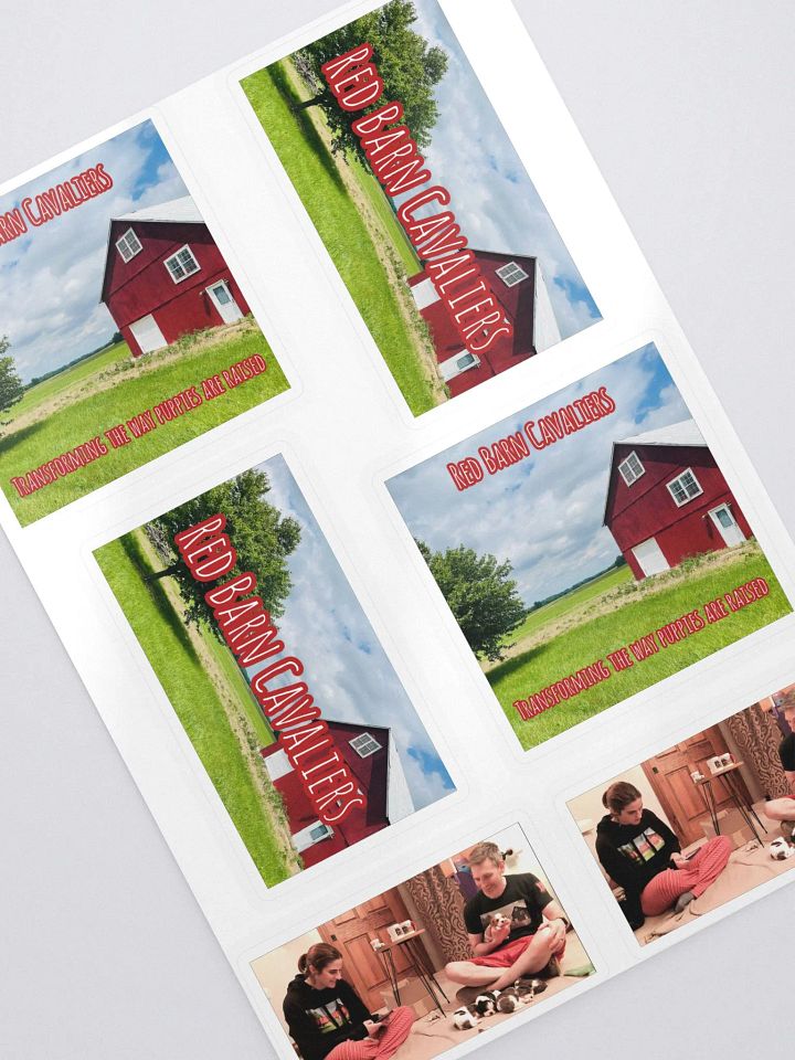 RBC Logo & YouTube Sticker set product image (1)