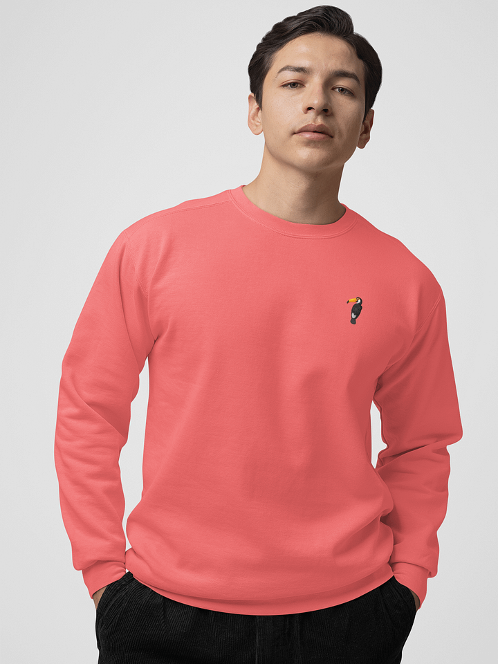 GUILLOVELO TOUCAN LINE DYED SWEATSHIRT product image (2)