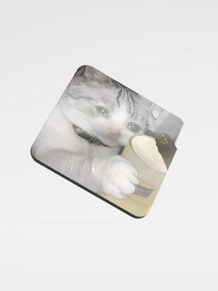 Glossed Cork Coaster: Meme Cats product image (1)