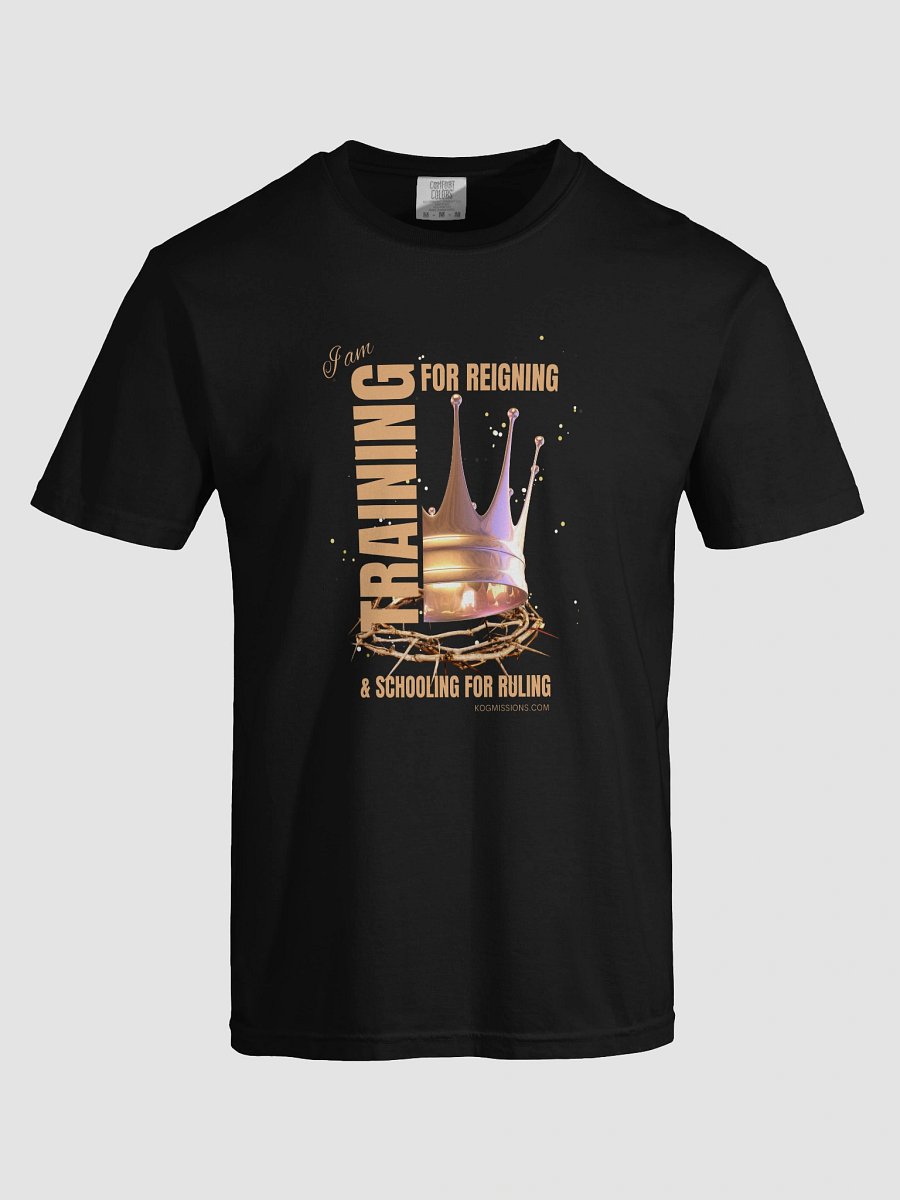 Training for Reigning Comfort Tee 1 product image (5)
