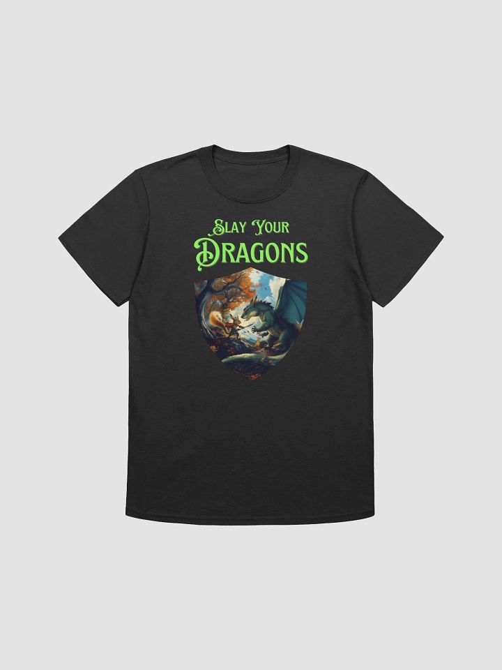 T24040 Slay Your Dragons product image (1)