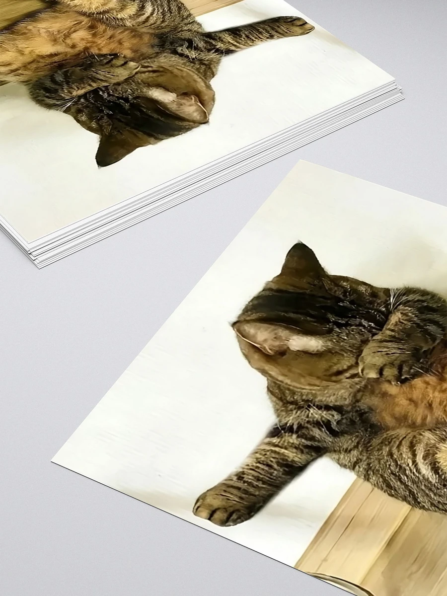 Kiss Cut Stickers: Meme Cats dab product image (4)