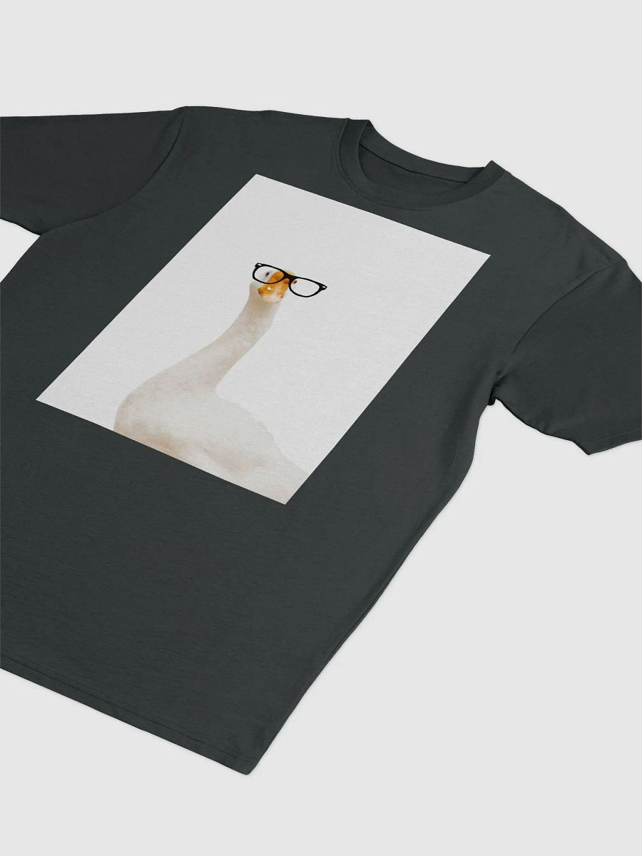 Silly Goose T shir t2 product image (3)
