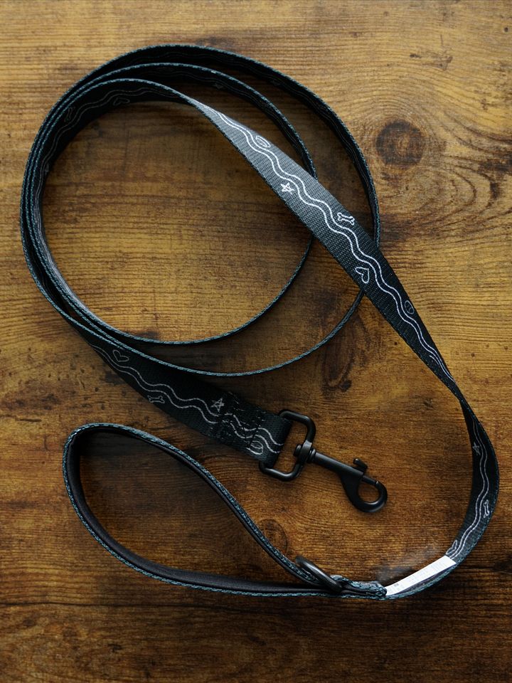 Puppy Icon Leash product image (1)
