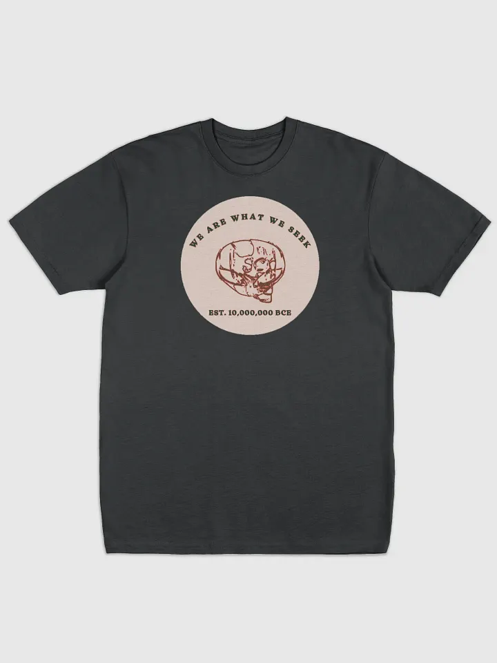 Ancient Wisdom Skull Tee product image (1)
