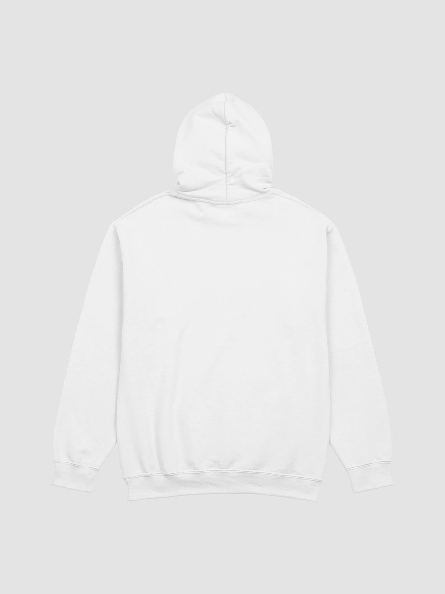 PBR Hoodie product image (2)