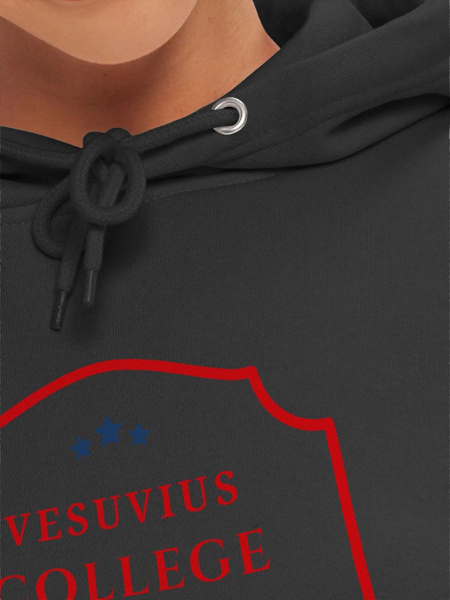 Varsity Hoodie product image (33)