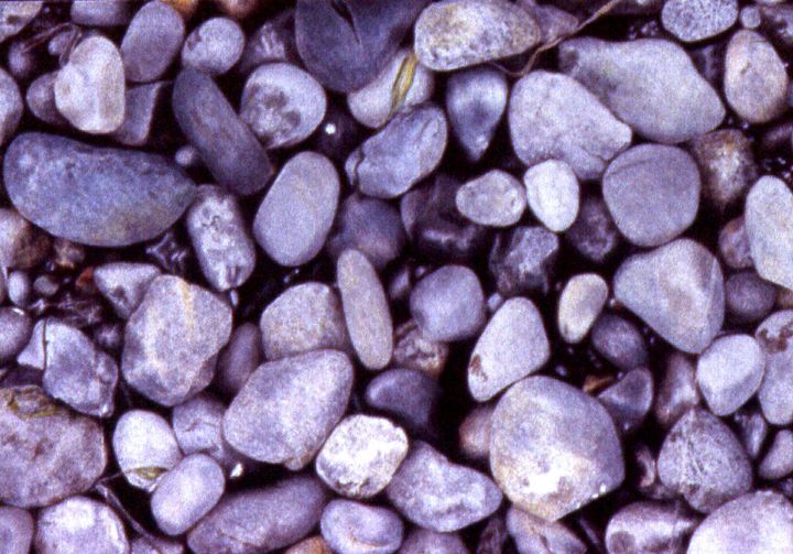 Cama Rocks Detail Print product image (1)