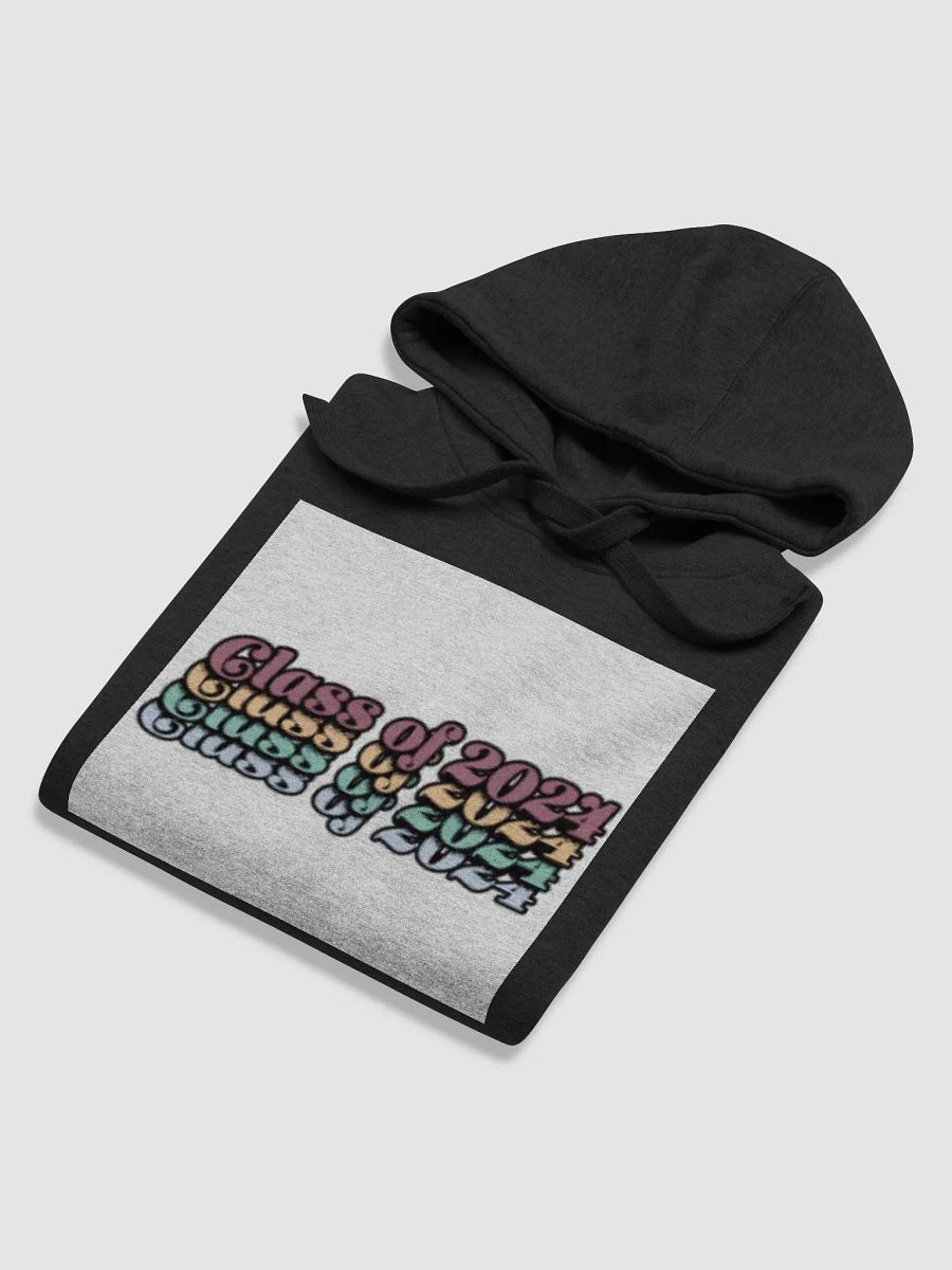 Class of 2024 Premium Unisex Hoodie product image (6)
