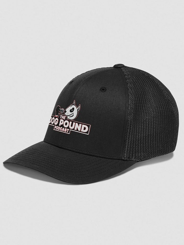 Dog Pound Podcast FLEX Hat product image (2)