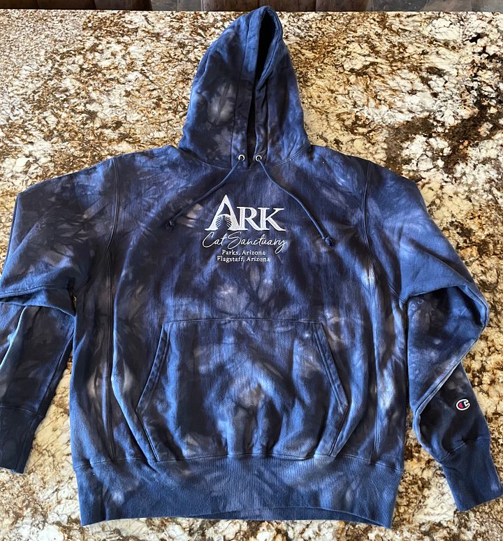 Ark Tie-Dye Champion Hoodie product image (1)