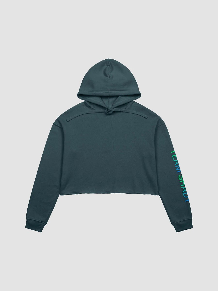 ShadyDaugter05 Cropped Jumper product image (2)