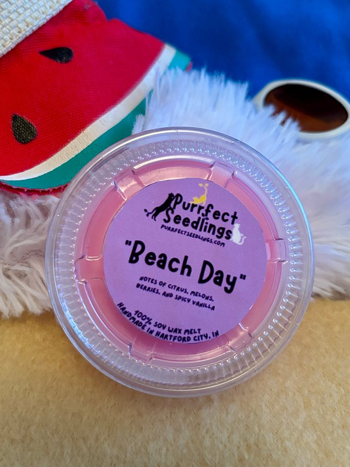 Beach Day Wax Melt (LIMITED EDITION) product image (1)
