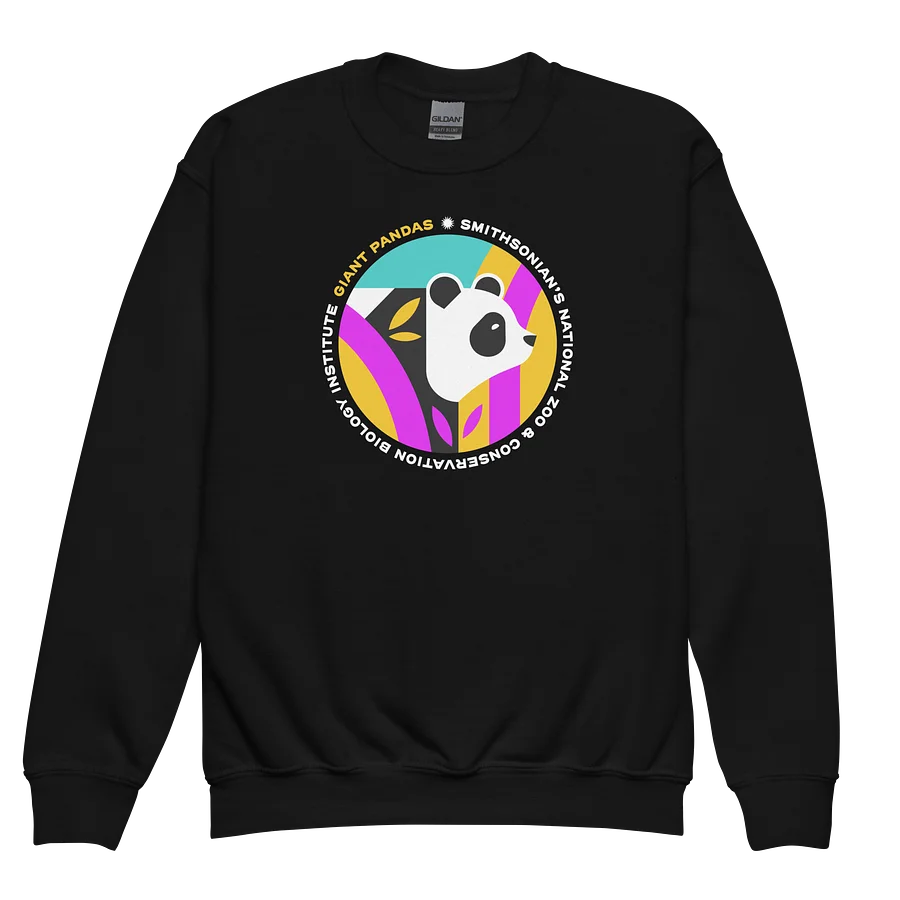 Pandas Are Here Sweatshirt (Youth) Image 2
