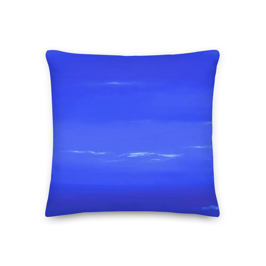Neptune Pillow! product image (3)