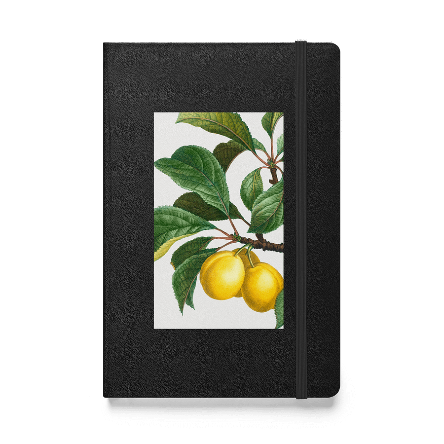 Sunlit Citrus Hardcover Journal product image (1)