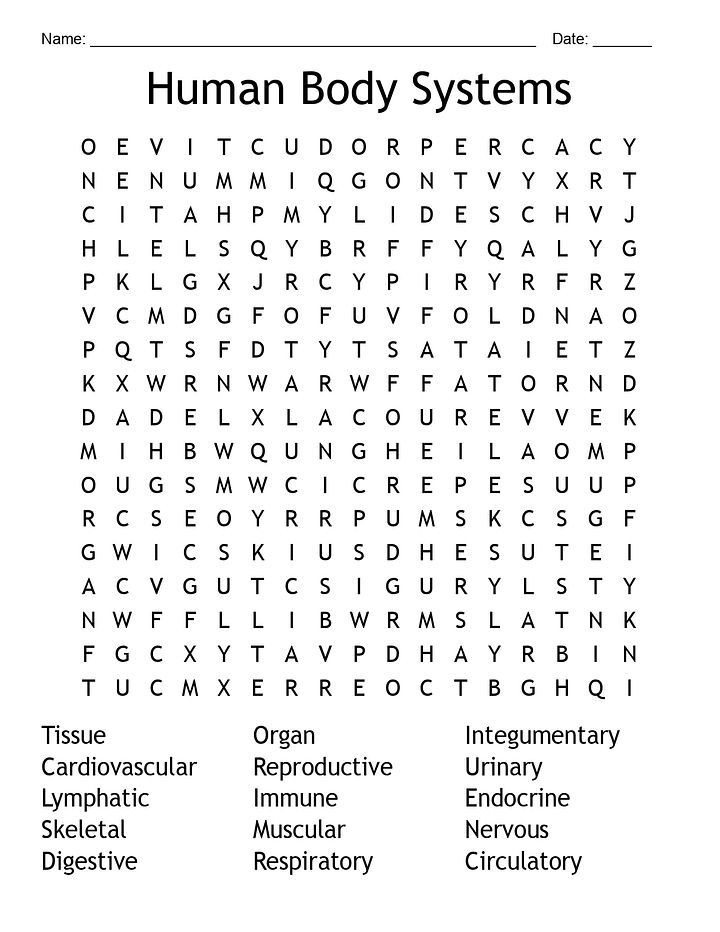 Human Body Systems word search product image (2)