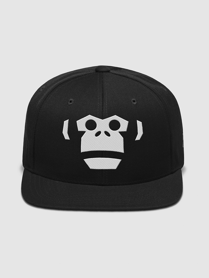 OTIXTRIT MNKY Wool Blend Snapback Cap product image (1)