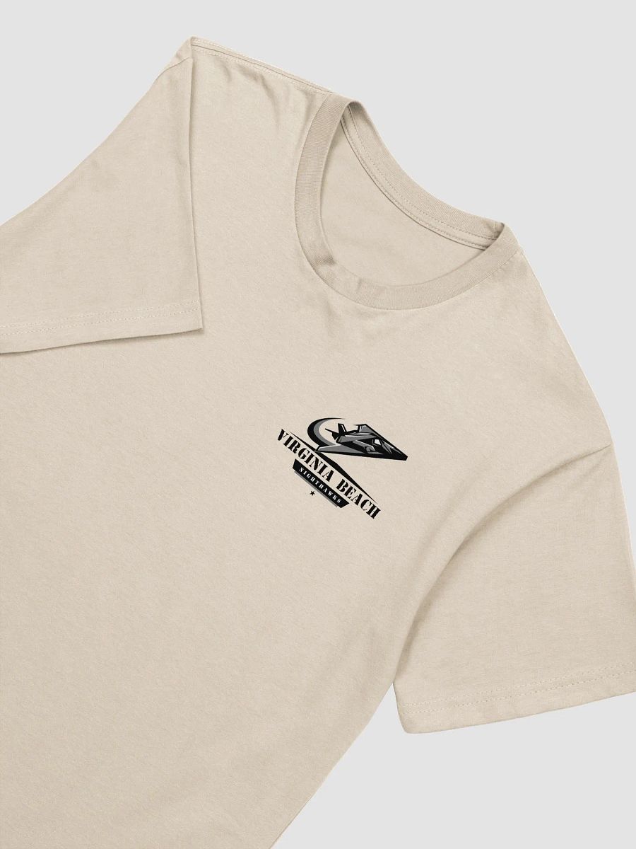 Virginia Beach Nighthawks T-Shirt by Next Level product image (15)