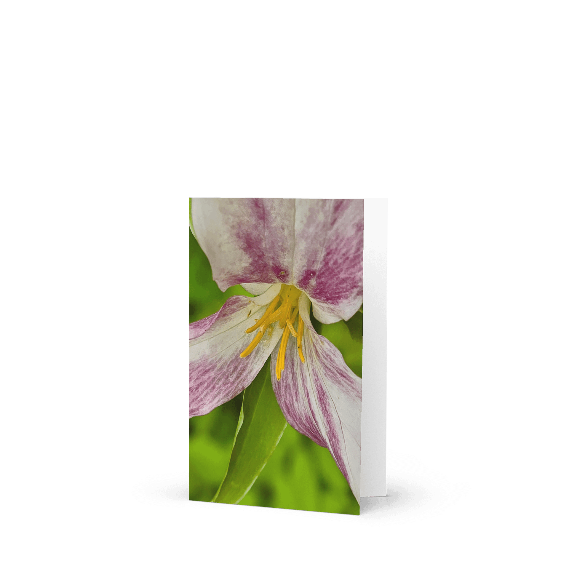 Burst of Color Greeting Card (blank) product image (1)