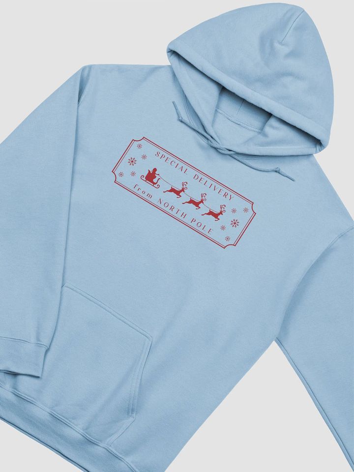 Special Delivery Postal Worker Unisex Hoodie product image (8)
