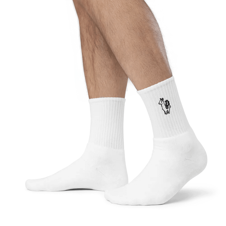 Alpaca Bitcoin Socks product image (3)