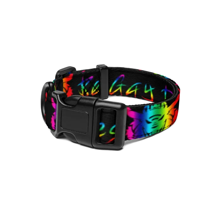 Be Gay Collar product image (1)