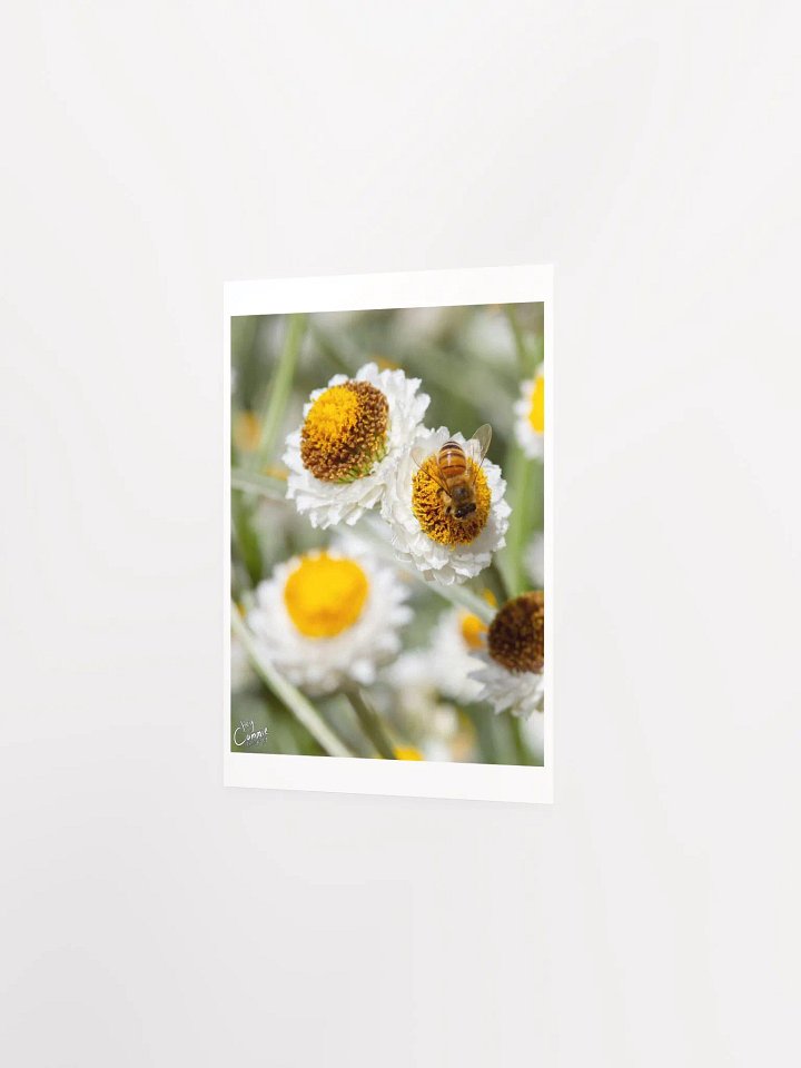 Bee Happy - Print product image (2)