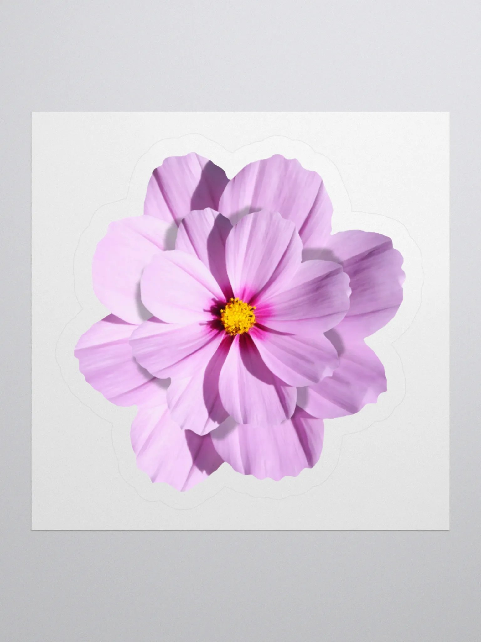 Realistic Pink Blossom Sticker product image (2)