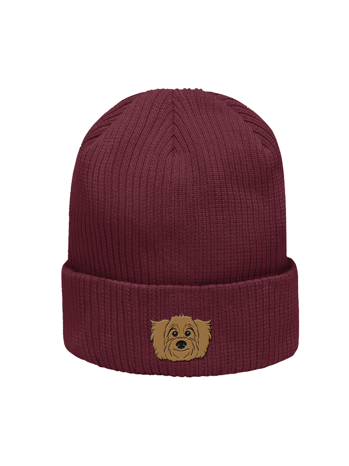 Radar Beanie product image (2)