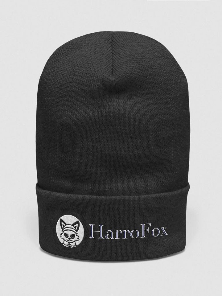 limited harro beany product image (1)