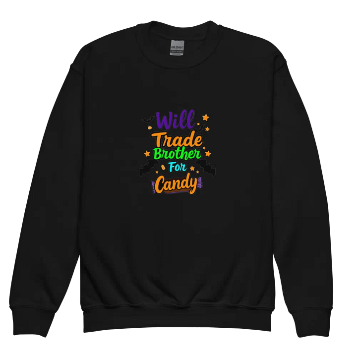 Will Trade Brother For Candy Youth Sweatshirt product image (2)