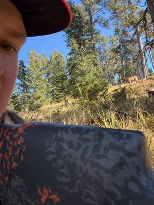 Had quite the day in the hills yesterday. Right after this calf paid me a visit all hell broke loose. Video coming soon! #tiktok #hunttok #elk #instagram #youtube 