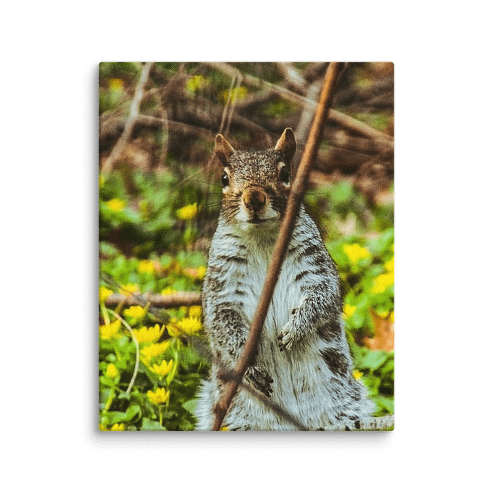 A Sight for Squirrel Eyes product image (7)