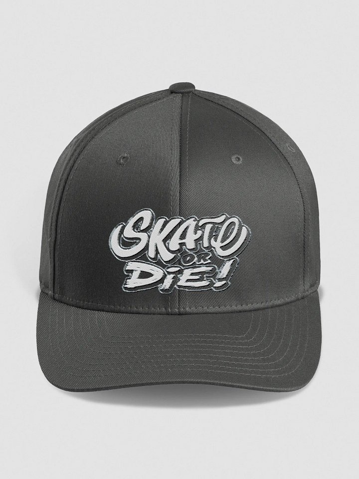 Skate Or Die! Fitted Hat (reverse) product image (8)