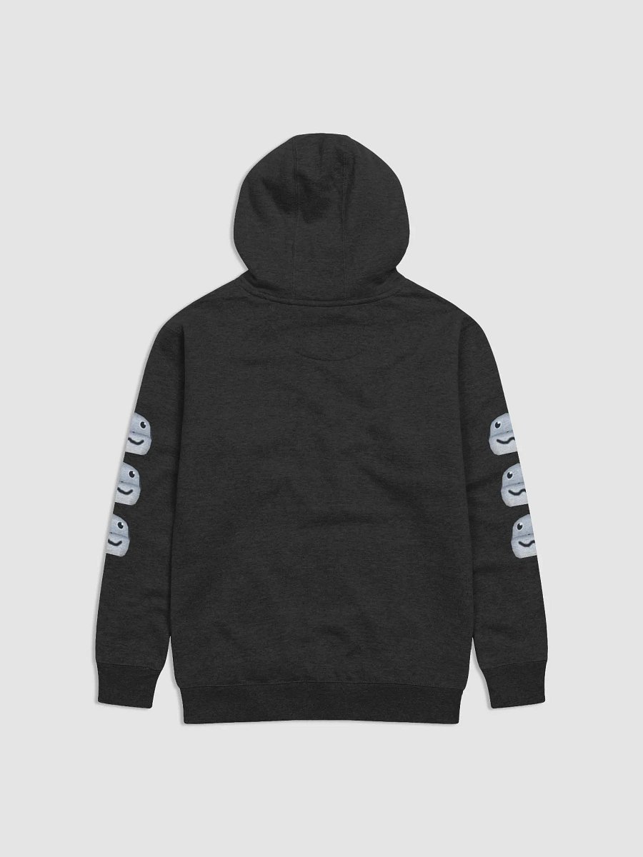 Thé Baboon Hoodie product image (2)