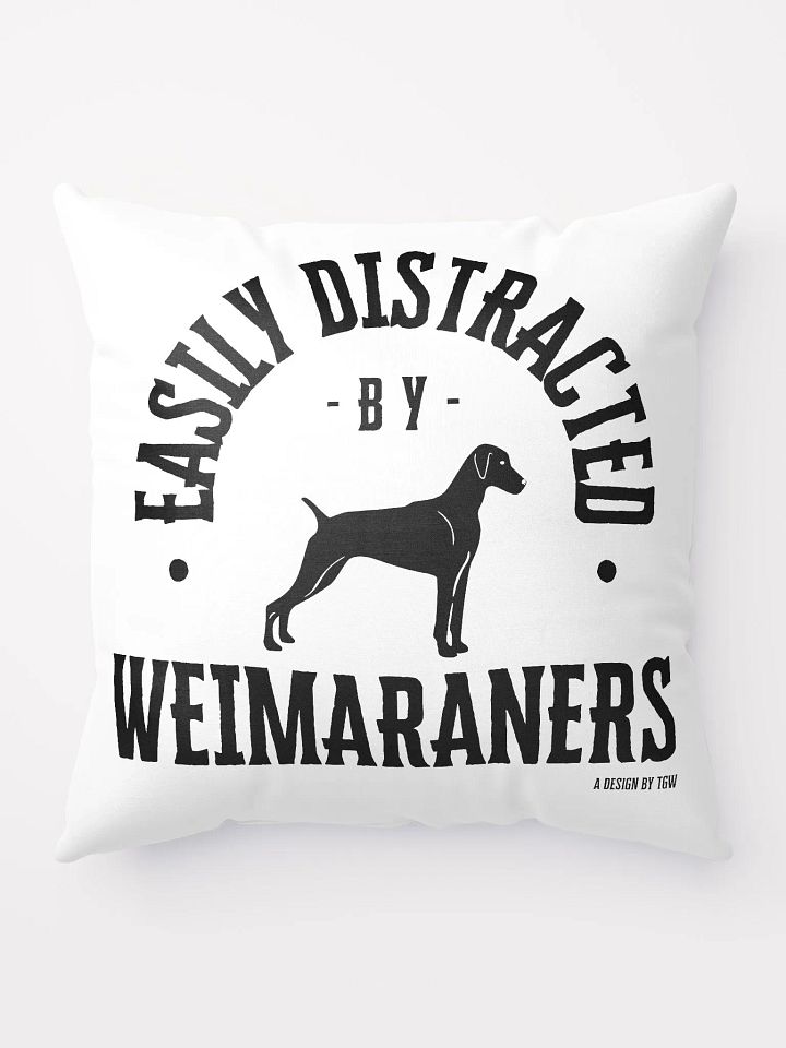 Easily Distracted - Pillow product image (1)