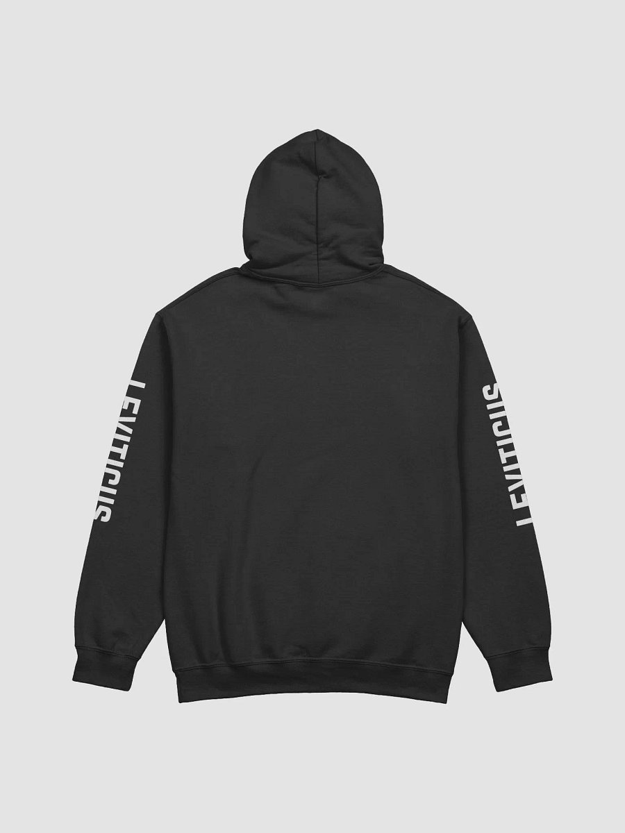 Scripture Couture: Leviticus Hoodie (Dark Pallet Series) product image (4)