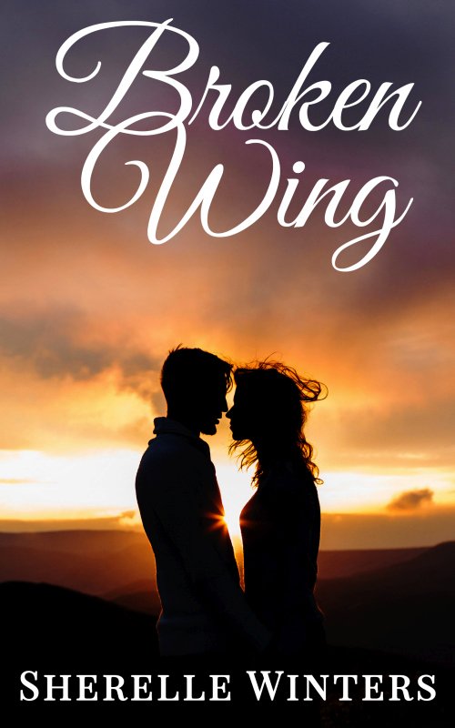 Broken Wing (Paperback) product image (1)