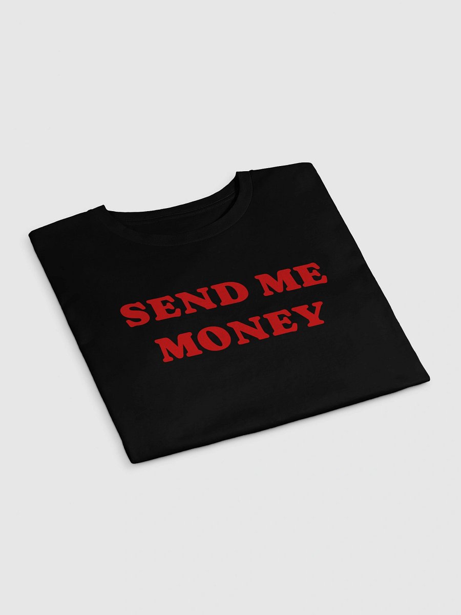 SEND ME MONEY Crop Top product image (3)
