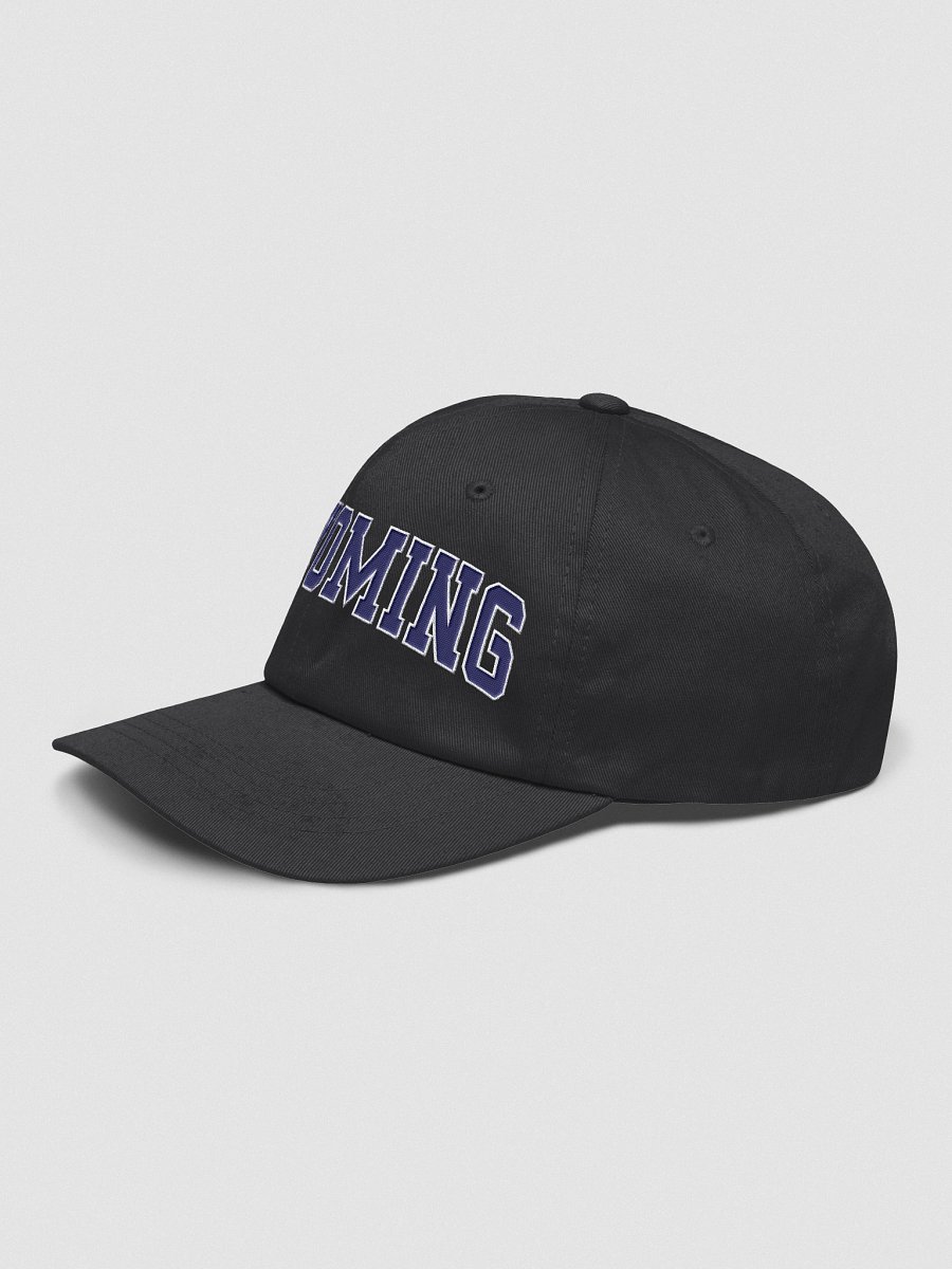 Wyoming Vintage Varsity Classic Dad Hat product image (27)