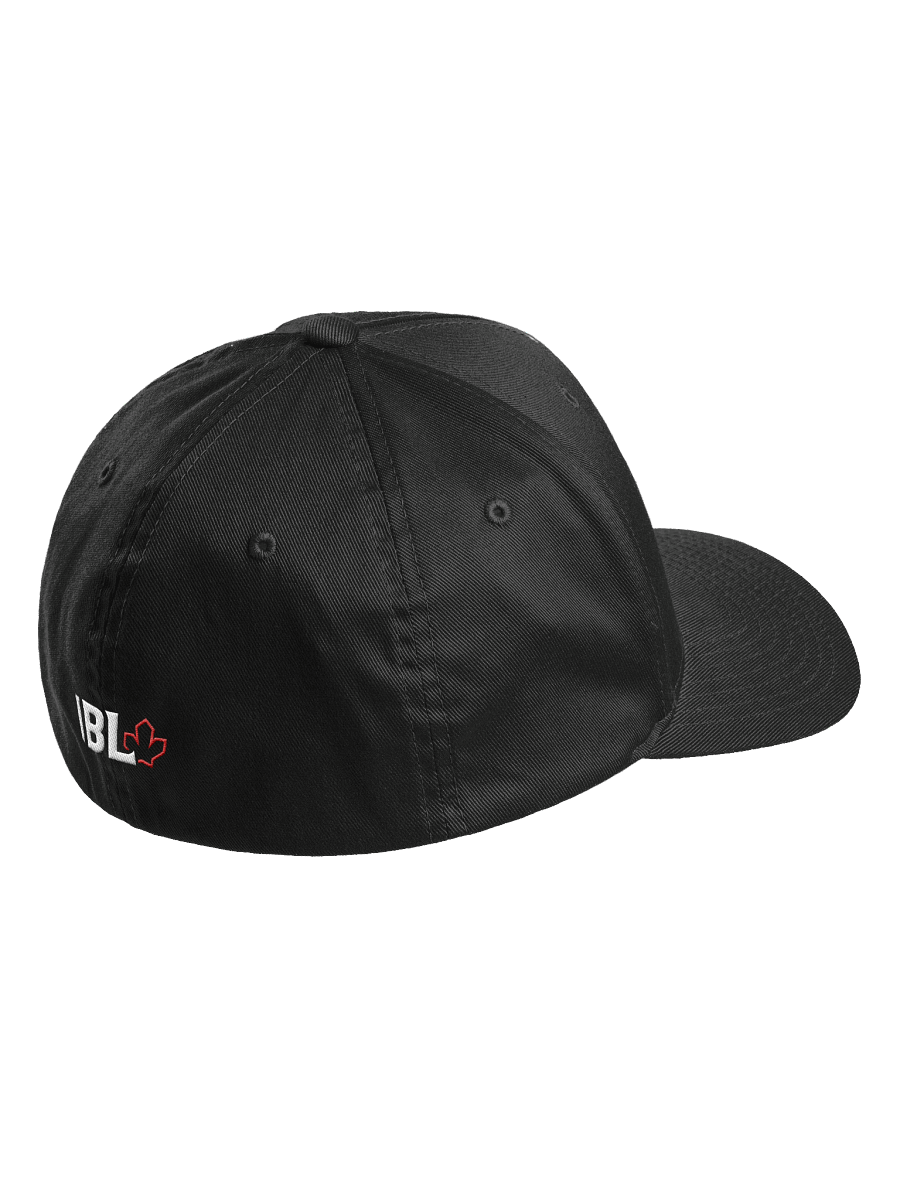 Ottawa Fat Cats - Eclipse Eye Dad Hat Flexfit Cap product image (8)