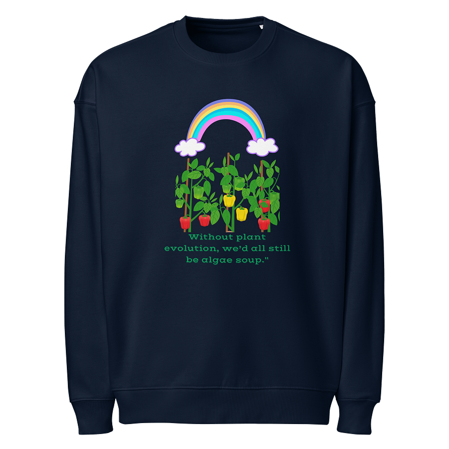 Evolutionary Rainbow Organic Sweatshirt product image (1)