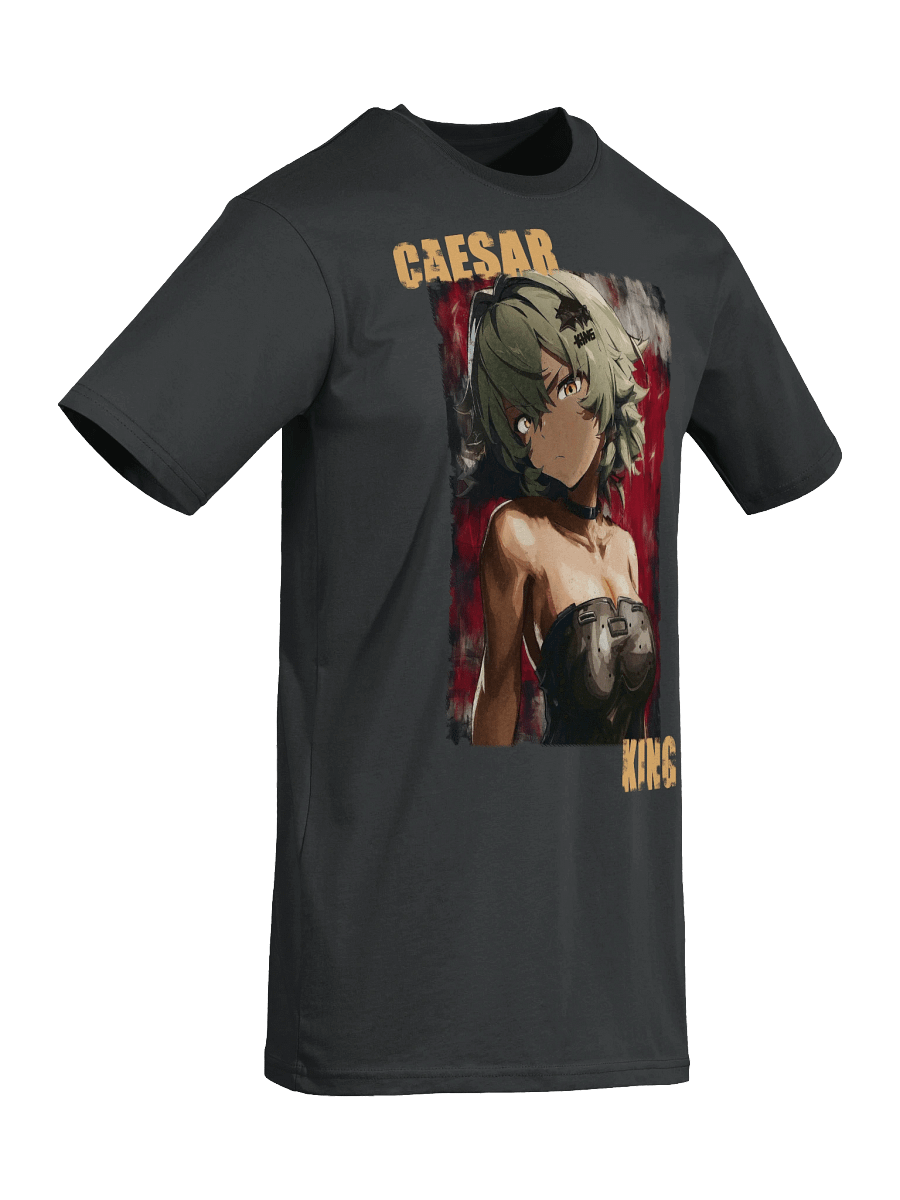 HAIL TO THE KING! Caesar King Cotton Premium Heavyweight Tee product image (44)