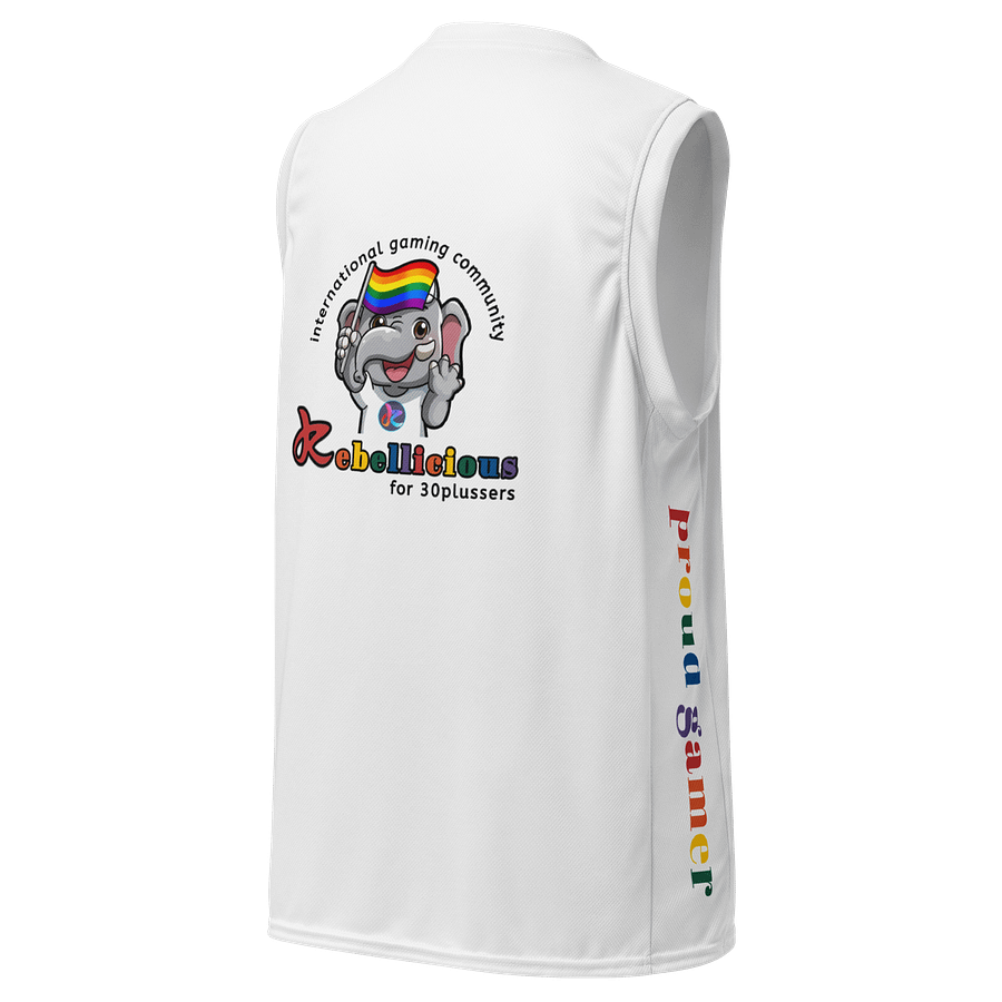 COURT DOMINATOR JERSEY PRIDE product image (3)