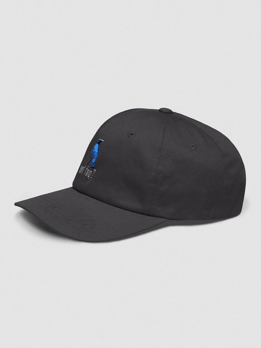 Ron Collection - Embroidered Classic Dad Hat product image (3)